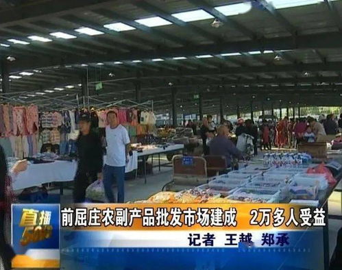 唐山新農(nóng)副產(chǎn)品批發(fā)市場正式啟用，惠及兩萬余居民